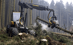 tecnologías forestales